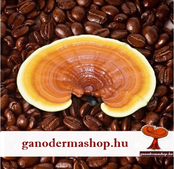 ganodermas kave A ganodermás kávé az egyetlen kávéfajta, ami a reflux tüneteit csökkenti