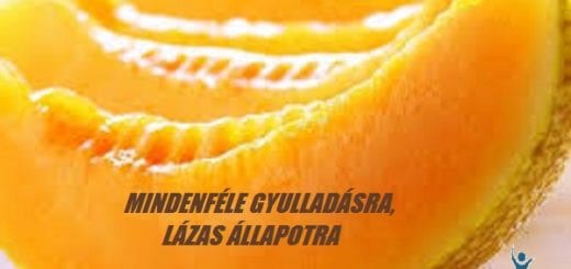 A sárgadinnye kitűnő gyógyszer mindenféle lázas és gyulladásos betegségre