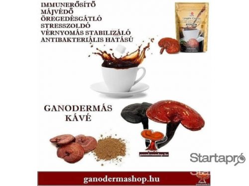 Immunerősítő ganodermás kávé pecsétviaszgomba kivonattal