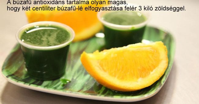 Búzafű-lé készítése házilag,Búzafűlé készítése házilag