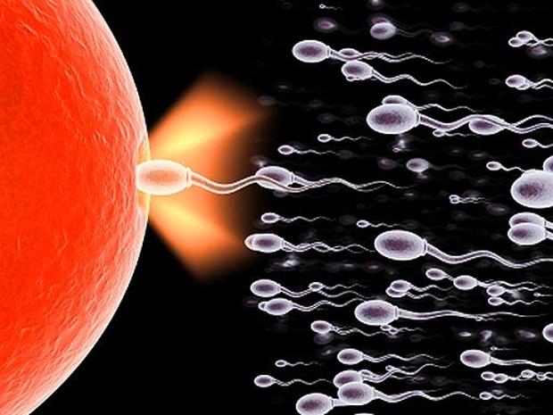 sperma vitamin forras