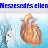 meszesedés ellen / érelmeszesedés ellen