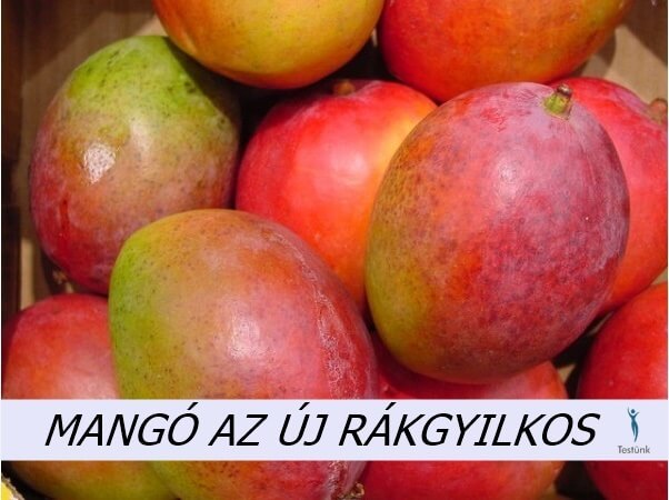 cukorbetegség kezelésére mangó levelek)