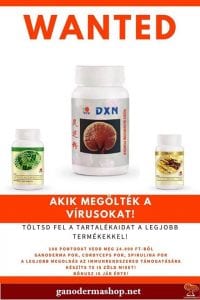 Immunerősítő pecsétviaszgomba és gyógygomba termékek