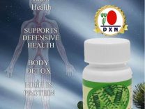 A Spirulina erősíti a testet javfítja az agyfunkciót Spirulina supports body and brain csontritkulás ellen