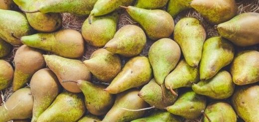 Akörte pozitív hatása a szervezetre