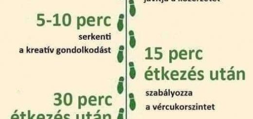 A gyaloglás hatása. előnyei, napi rendszeres gyaloglás hatása, 10 prc séta 30 perc gyaloglás