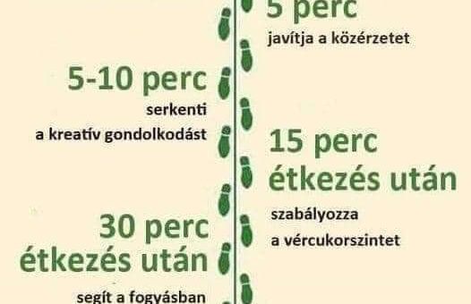 A gyaloglás hatása. előnyei, napi rendszeres gyaloglás hatása, 10 prc séta 30 perc gyaloglás